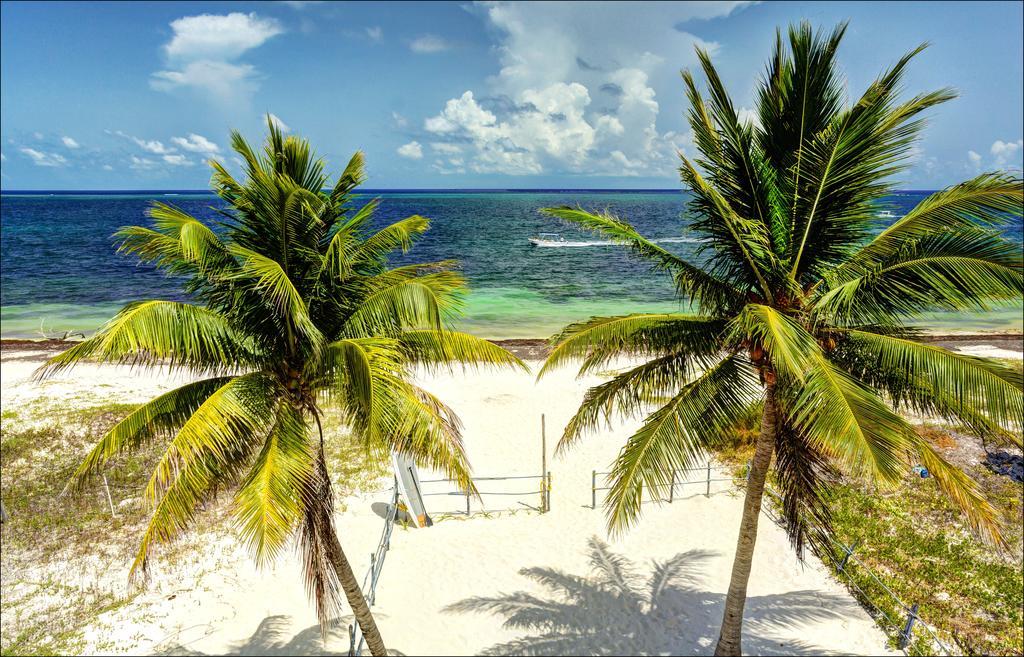 Beach Front House At Puerto Morelosヴィラ エクステリア 写真