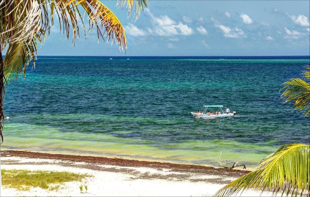 Beach Front House At Puerto Morelosヴィラ エクステリア 写真