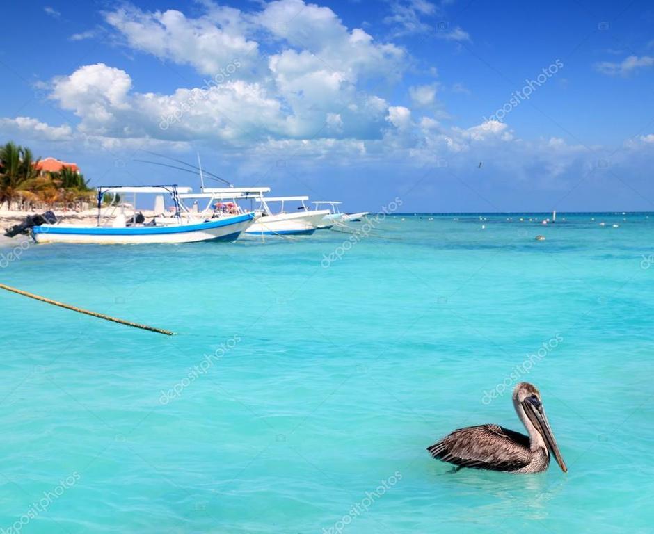 Beach Front House At Puerto Morelosヴィラ エクステリア 写真